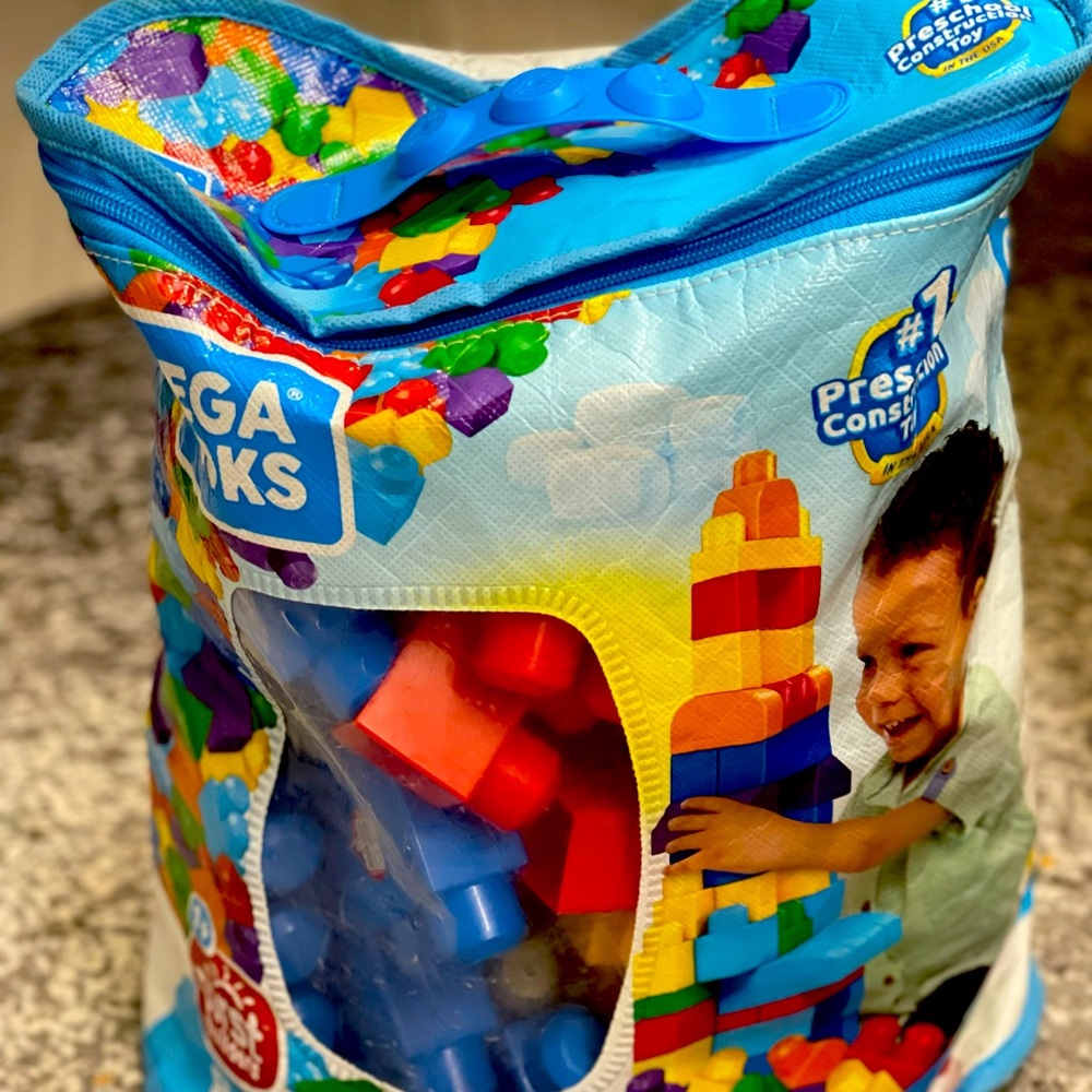 Mega Bloks First Builders Big Building Bag